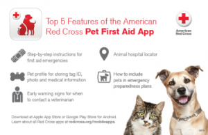 Red Cross App Photo
