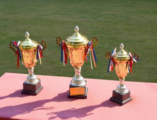 Celebrate Success with Affordable Corporate Trophies in Australia