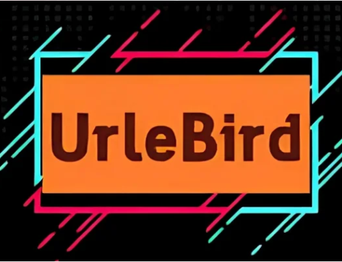 Exploring the Best Social Media Platforms for Sharing Videos:urlebird